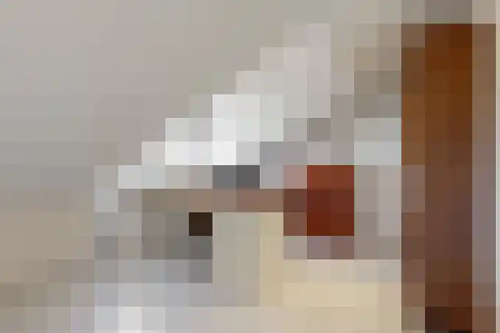Oostdaallaan 22 Wassenaar thumbnail 22