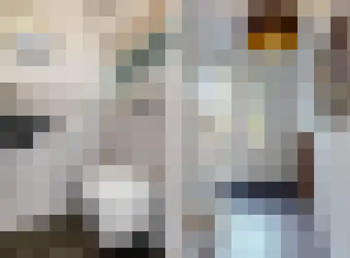 Oostdaallaan 22 Wassenaar thumbnail 24