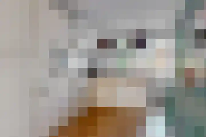 Oostdaallaan 22 Wassenaar thumbnail 6