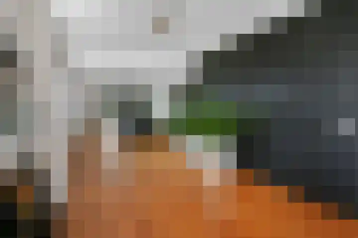 Oostdaallaan 40 Wassenaar thumbnail 11