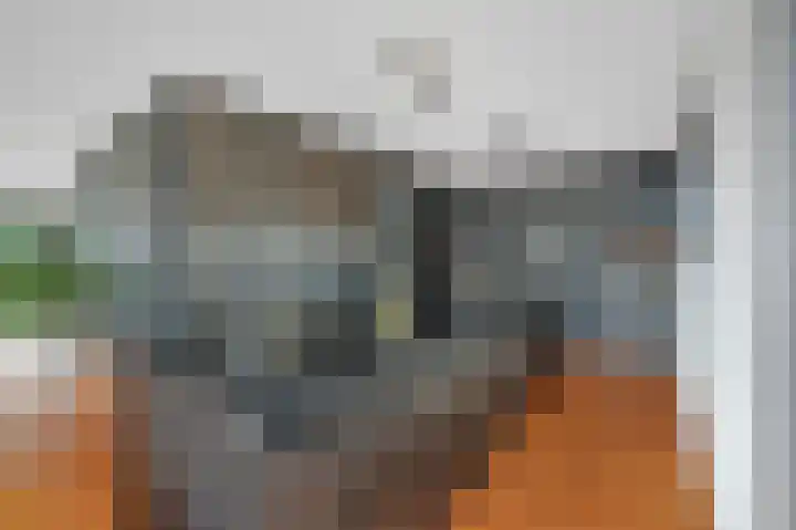 Oostdaallaan 40 Wassenaar thumbnail 16
