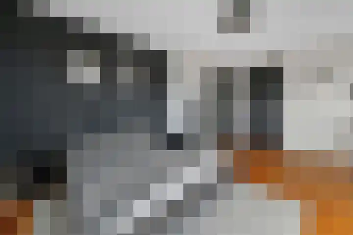 Oostdaallaan 40 Wassenaar thumbnail 22