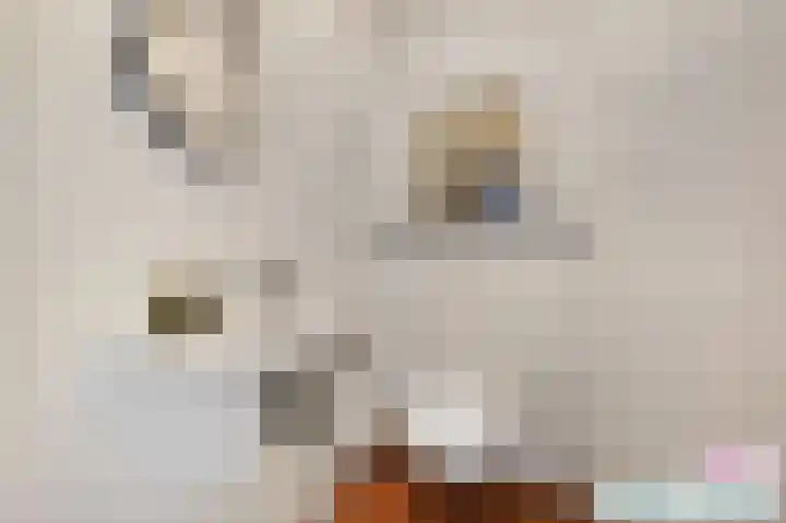 Oostdaallaan 40 Wassenaar thumbnail 23
