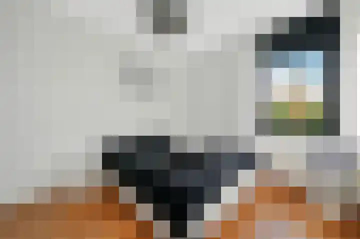 Oostdaallaan 40 Wassenaar thumbnail 27