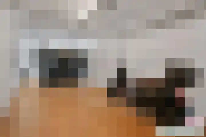 Oostdaallaan 40 Wassenaar thumbnail 35