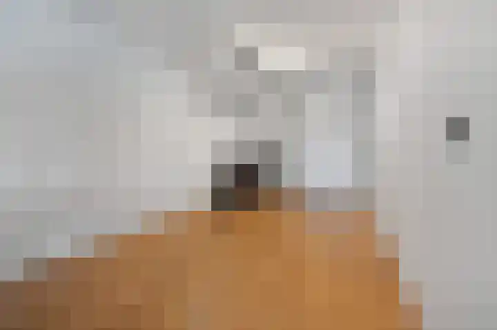 Oostdaallaan 40 Wassenaar thumbnail 37