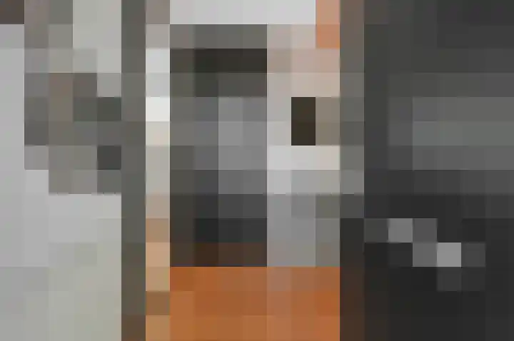 Oostdaallaan 40 Wassenaar thumbnail 6