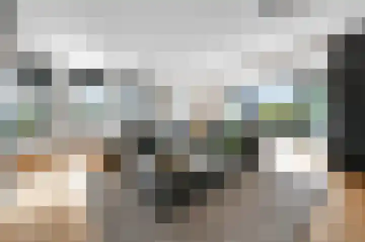 Oostdaallaan 40 Wassenaar thumbnail 8