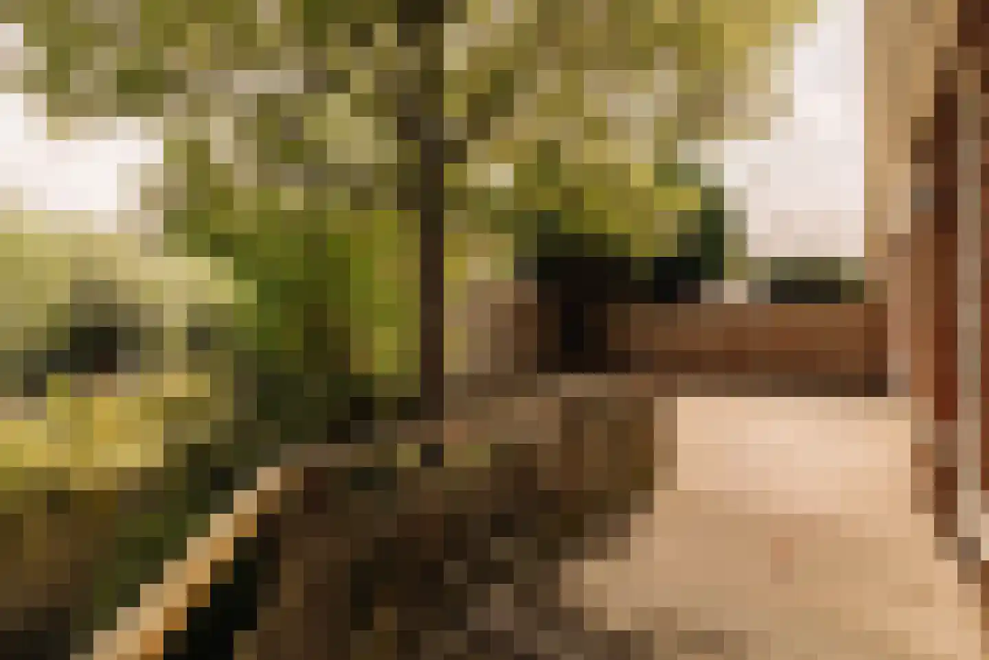 Oostdaallaan 52 Wassenaar thumbnail 10