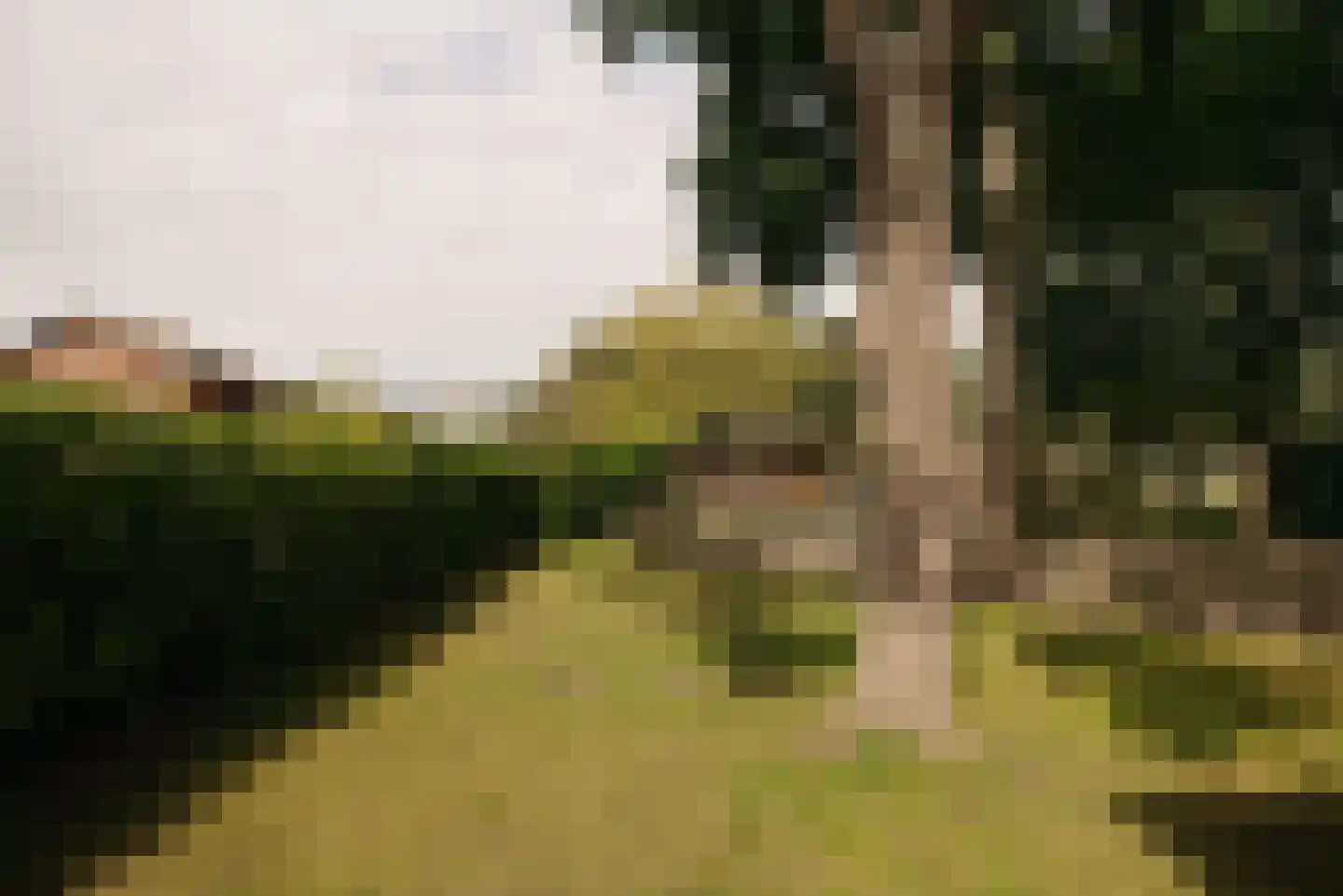 Oostdaallaan 52 Wassenaar thumbnail 11