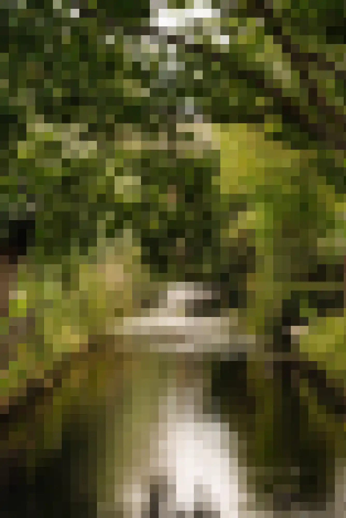 Oostdaallaan 52 Wassenaar thumbnail 12