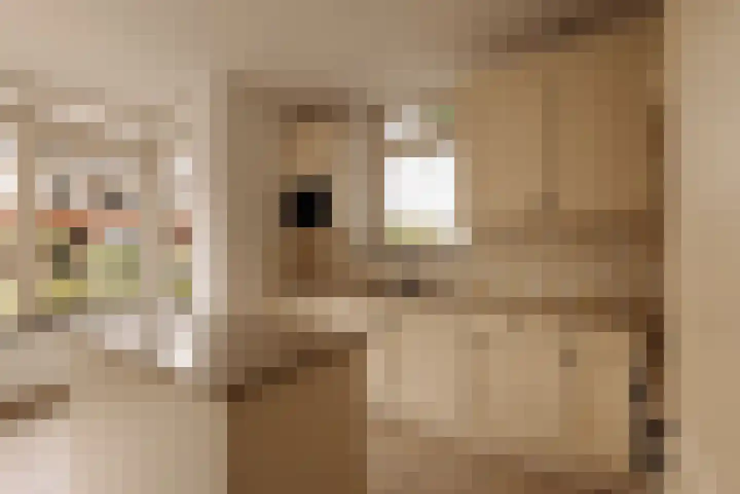 Oostdaallaan 52 Wassenaar thumbnail 14
