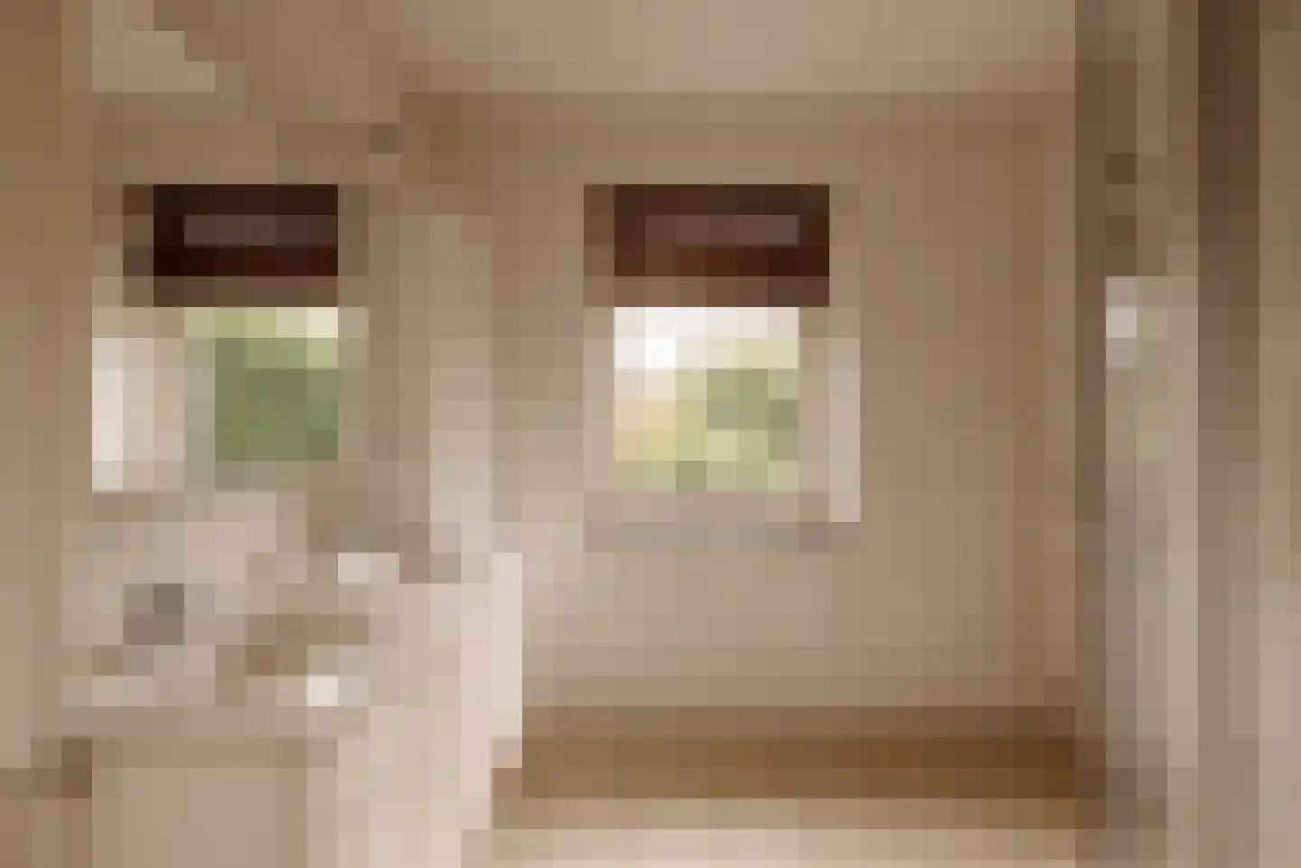 Oostdaallaan 52 Wassenaar thumbnail 23