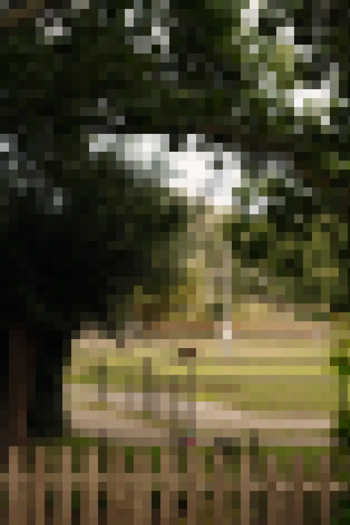 Oostdaallaan 52 Wassenaar thumbnail 39