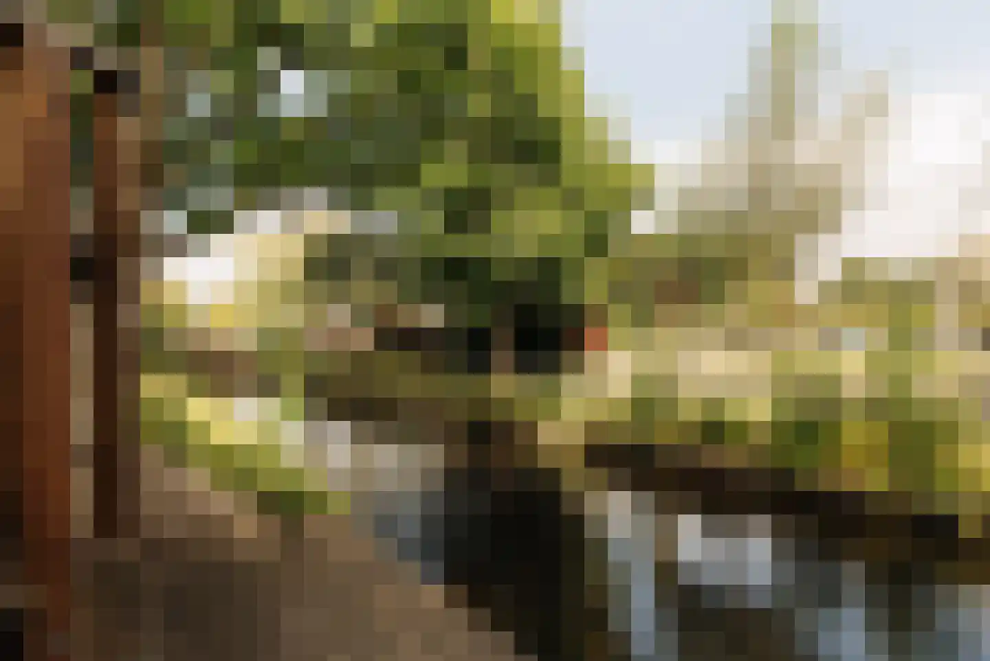 Oostdaallaan 52 Wassenaar thumbnail 4