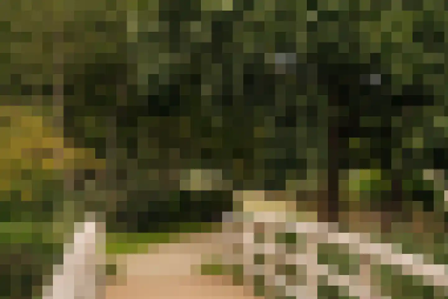 Oostdaallaan 52 Wassenaar thumbnail 41