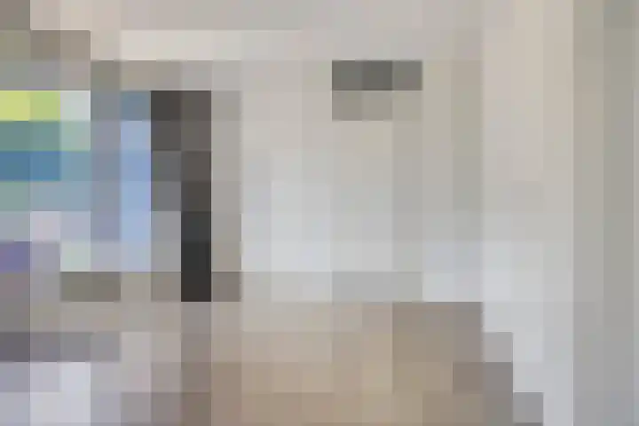 Oostdam 1 a Steenbergen thumbnail 12