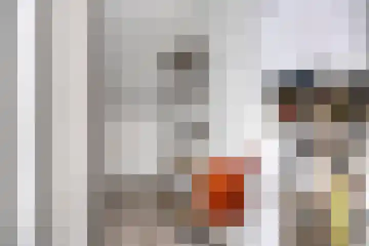 Oostdam 1 a Steenbergen thumbnail 17
