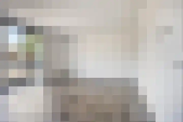 Oostdam 1 a Steenbergen thumbnail 5