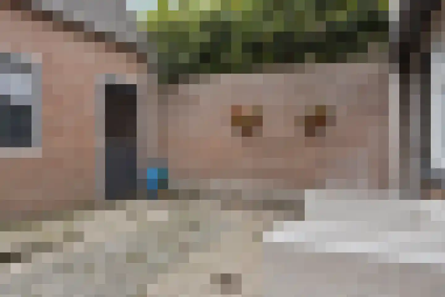Oostdam 10 Steenbergen thumbnail 22