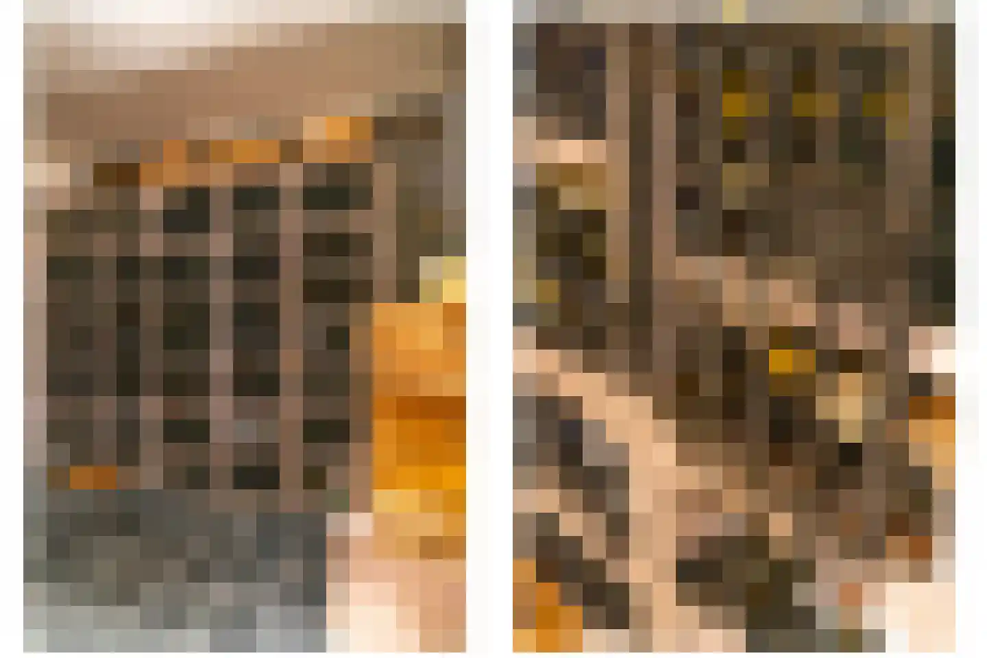 Oostdam 13 Woerden thumbnail 12