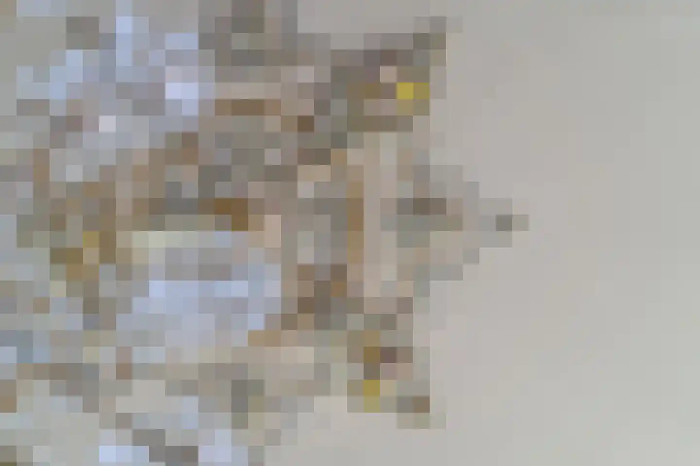 Oostdam 13 Woerden thumbnail 14