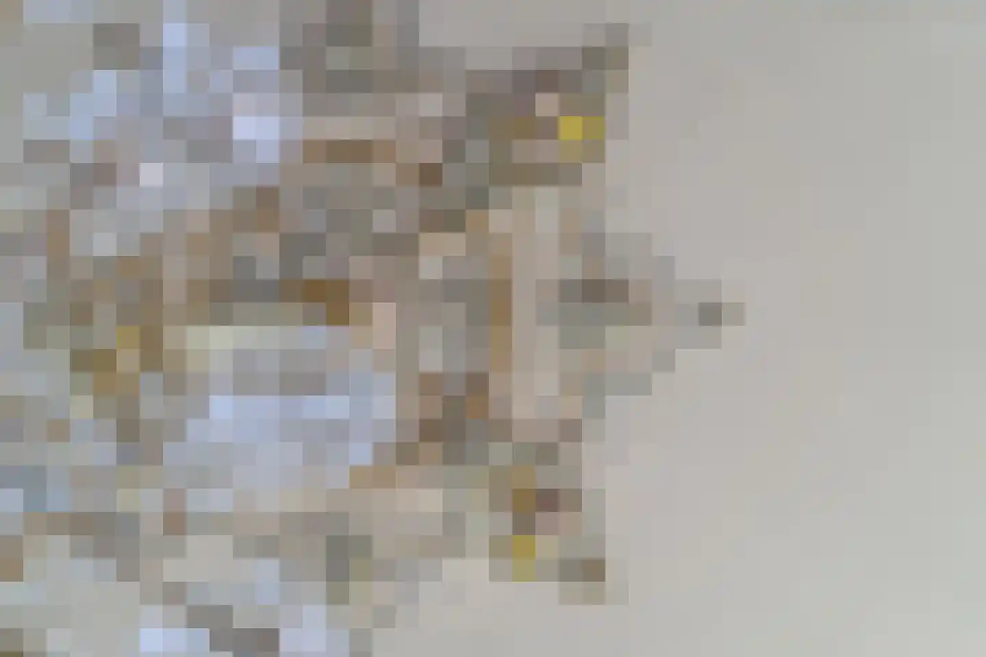Oostdam 13 Woerden thumbnail 14