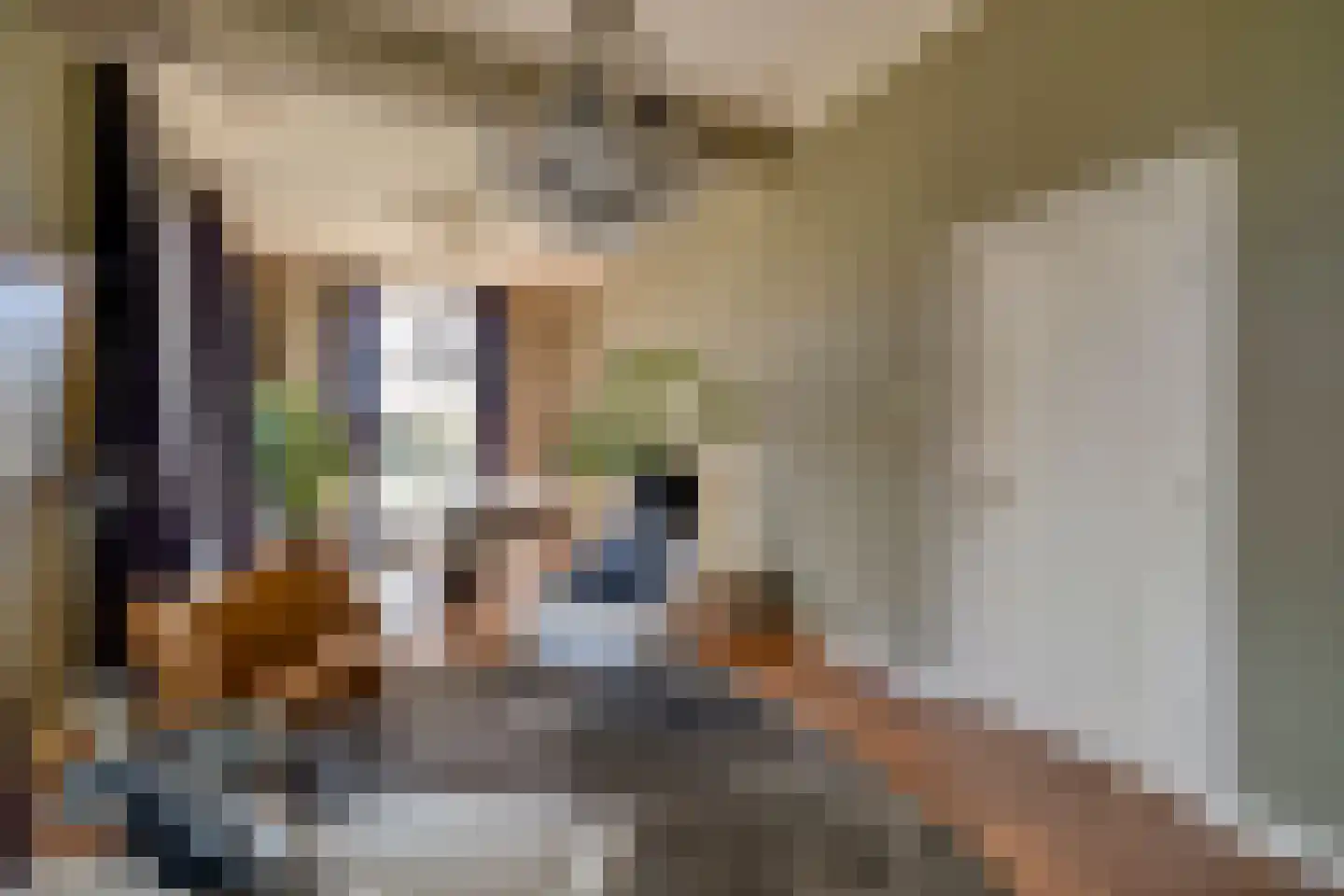 Oostdam 13 Woerden thumbnail 15
