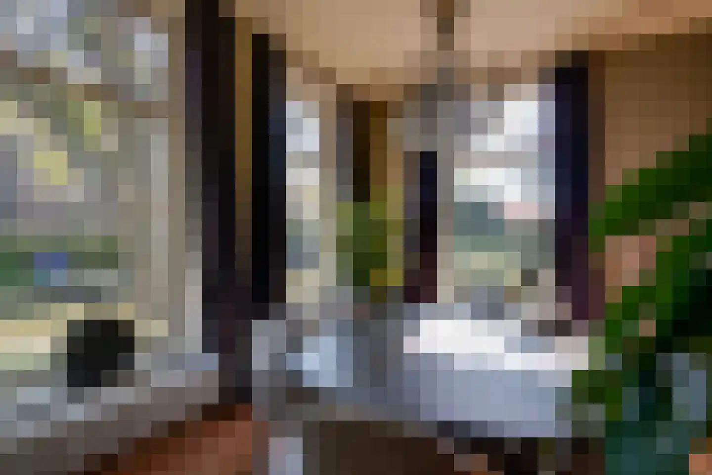 Oostdam 13 Woerden thumbnail 16