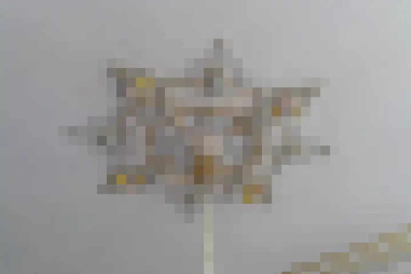 Oostdam 13 Woerden thumbnail 18