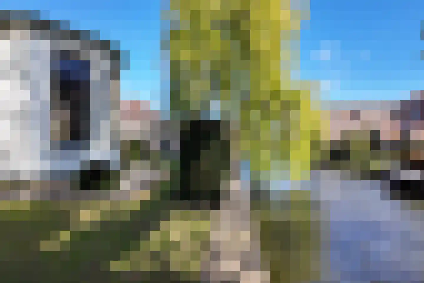Oostdam 13 Woerden thumbnail 20