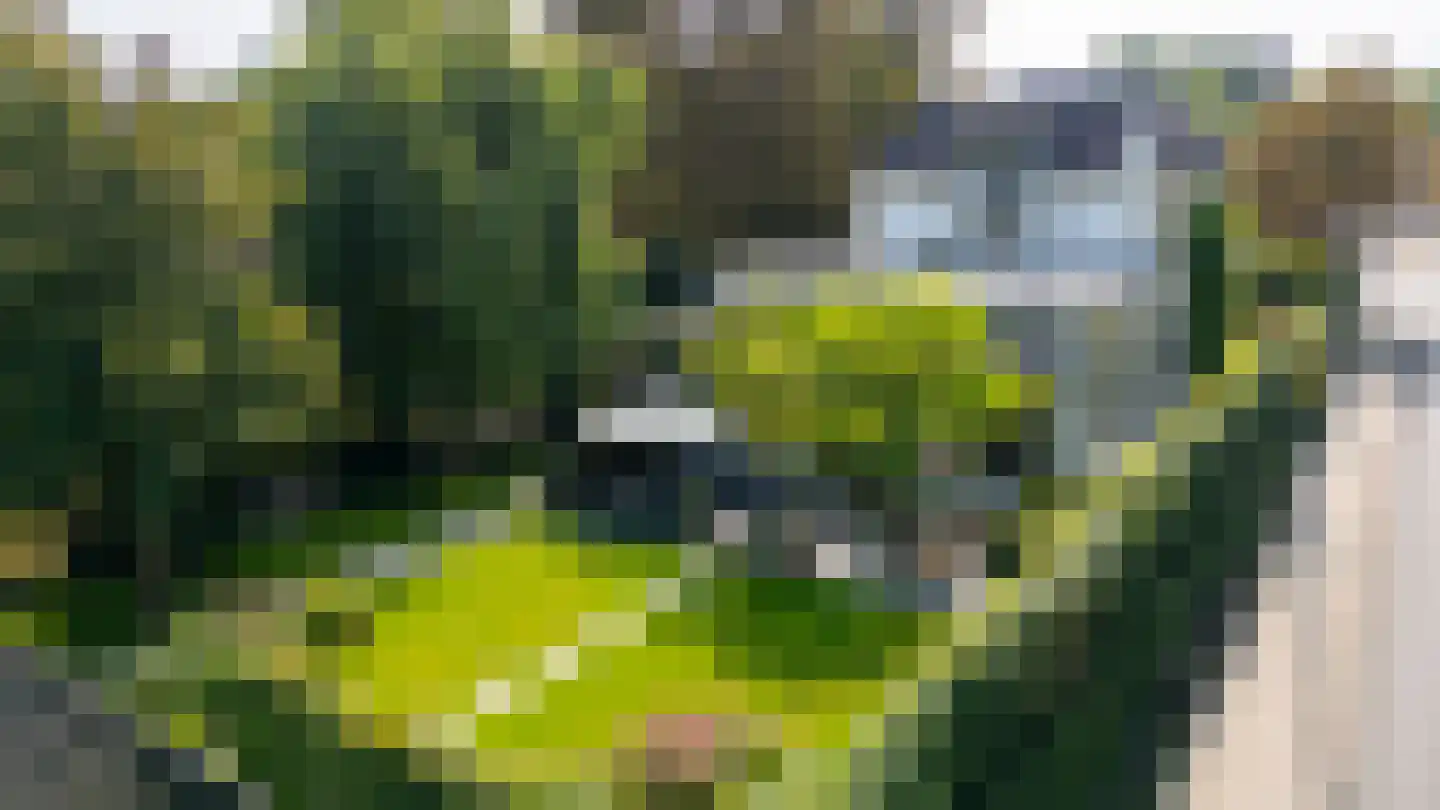 Oostdam 13 Woerden thumbnail 21