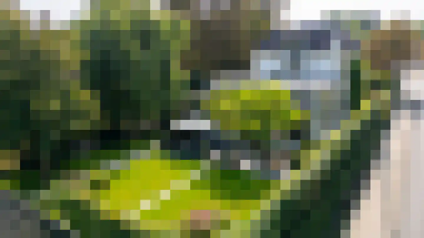 Oostdam 13 Woerden thumbnail 21