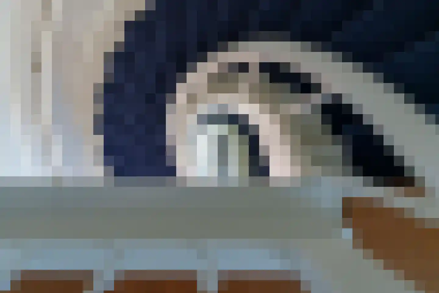 Oostdam 13 Woerden thumbnail 22