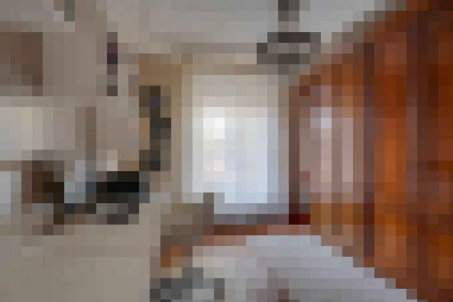 Oostdam 13 Woerden thumbnail 28