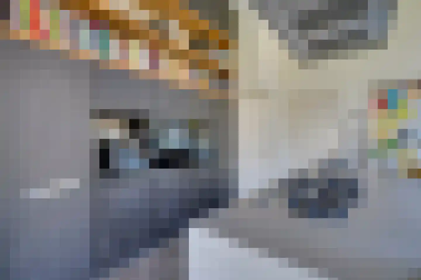 Oostdam 13 Woerden thumbnail 29