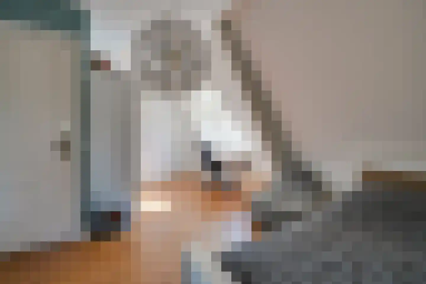 Oostdam 13 Woerden thumbnail 50