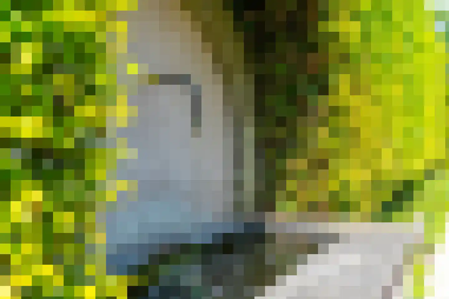 Oostdam 13 Woerden thumbnail 58