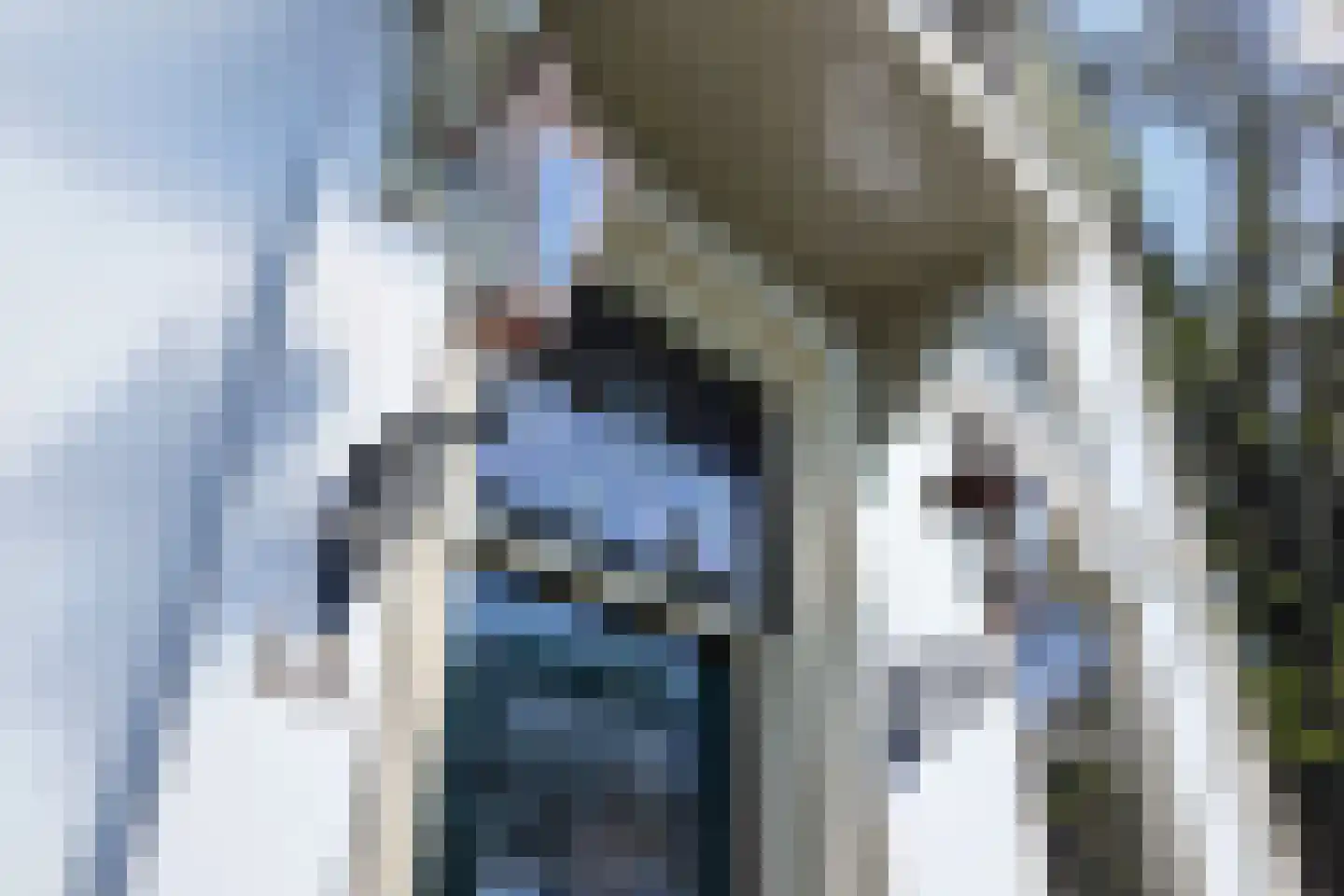 Oostdam 13 Woerden thumbnail 6