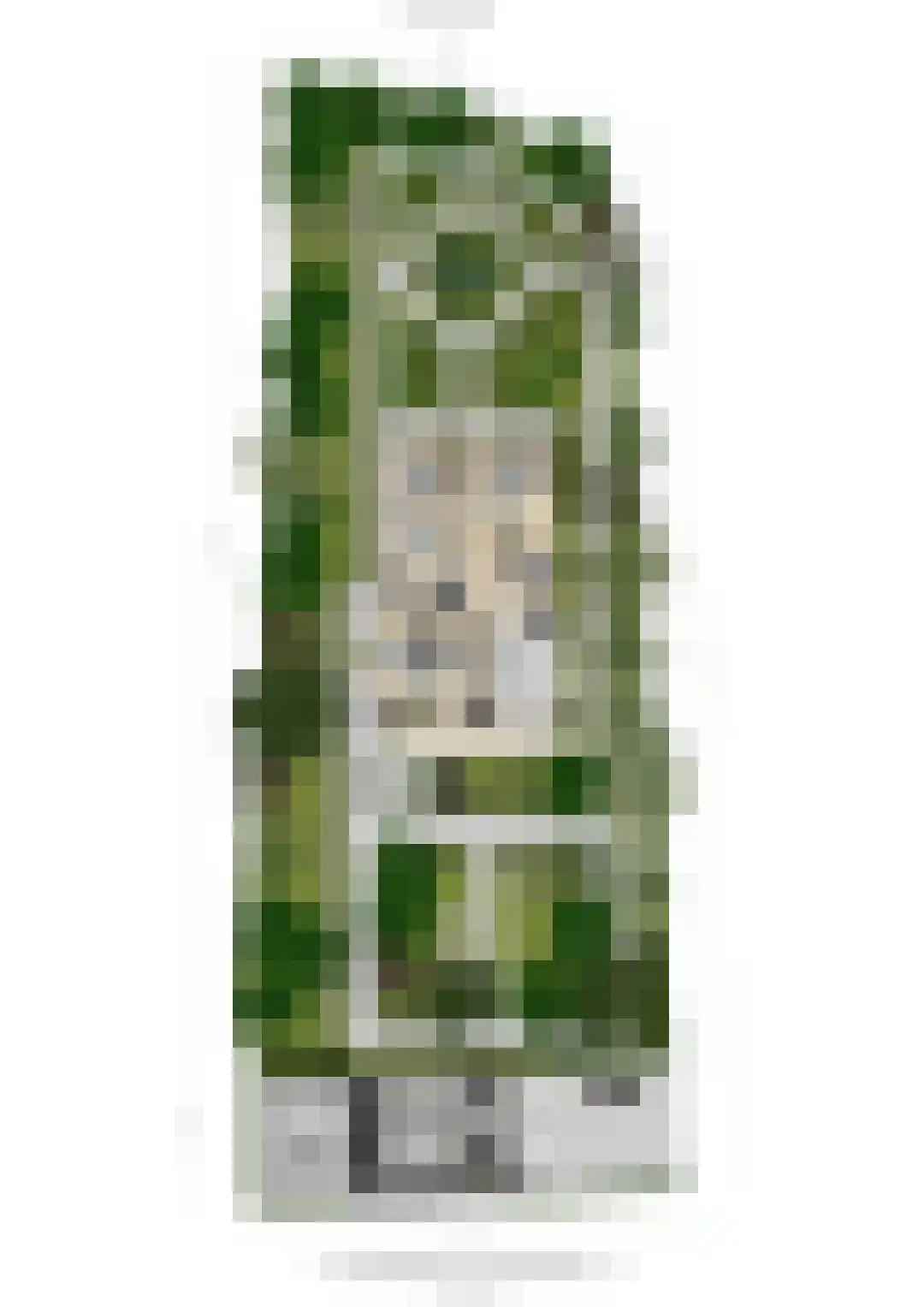 Oostdam 13 Woerden thumbnail 62