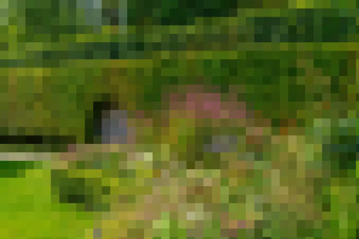 Oostdam 13 Woerden thumbnail 63