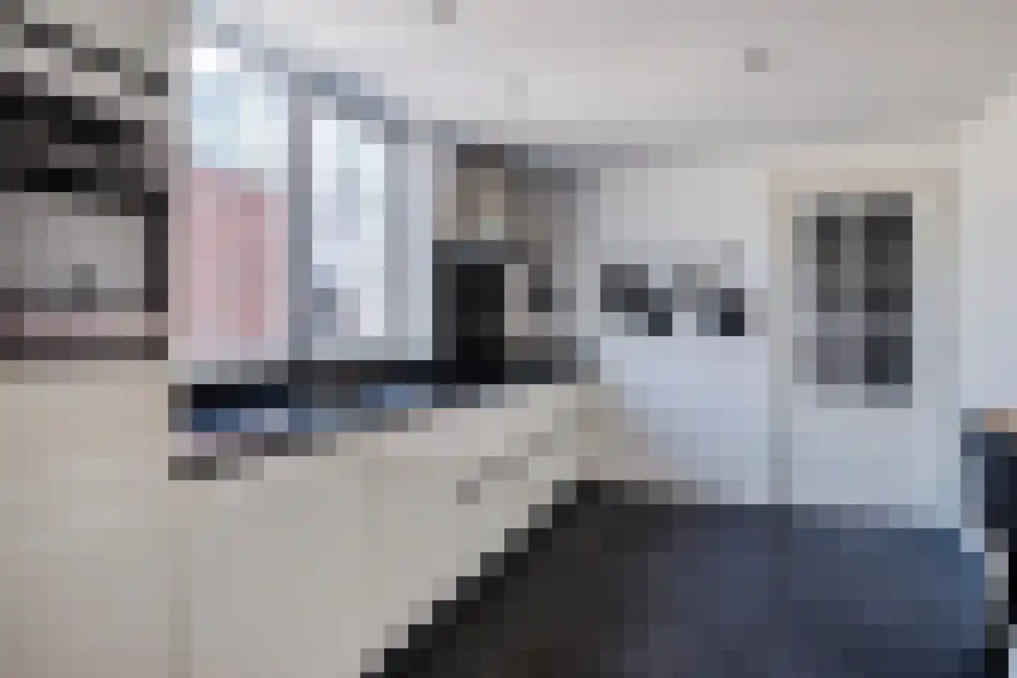 Oostdam 4 Sas van Gent thumbnail 17