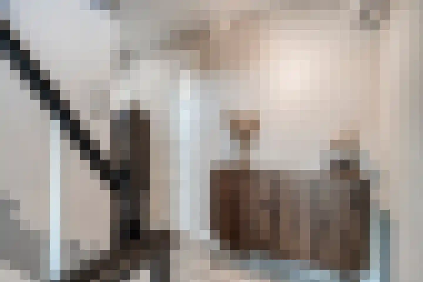 Oostdam 4 Sas van Gent thumbnail 19