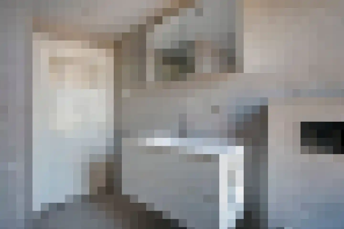 Oostdam 4 Sas van Gent thumbnail 24