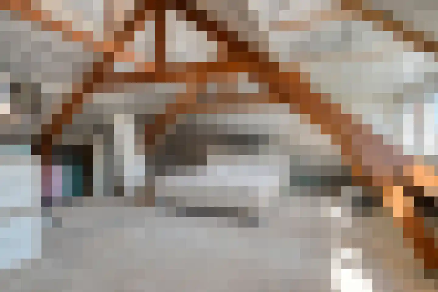 Oostdam 4 Sas van Gent thumbnail 27