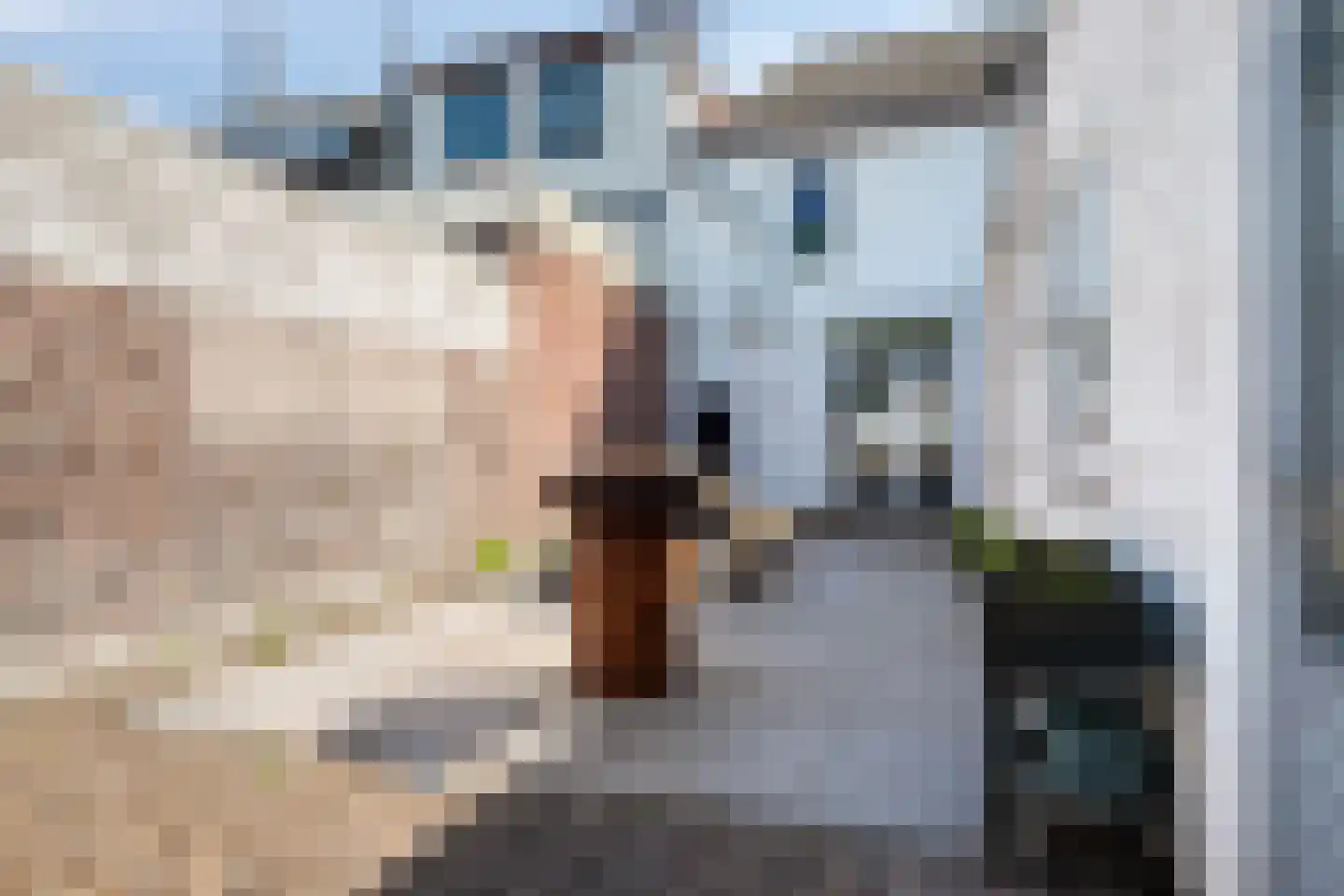 Oostdam 4 Sas van Gent thumbnail 30
