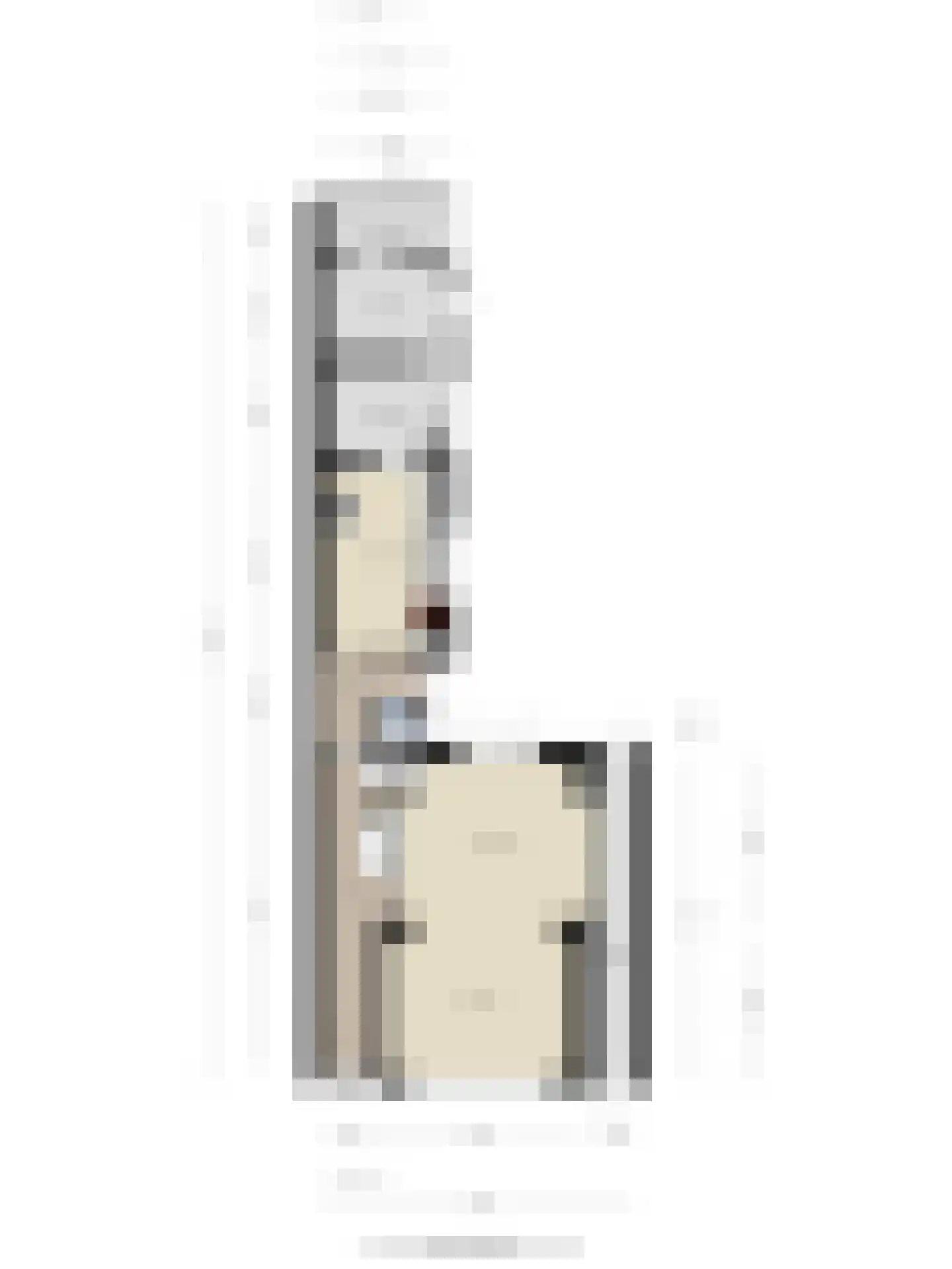 Oostdam 4 Sas van Gent thumbnail 38