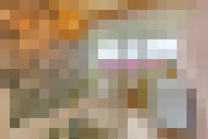 Oostdam 6 Steenbergen thumbnail 21
