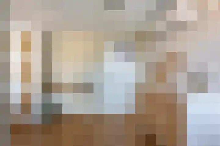 Oostdam 6 Steenbergen thumbnail 24