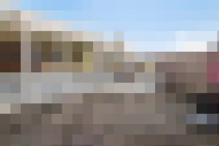 Oostdam 6 Steenbergen thumbnail 30
